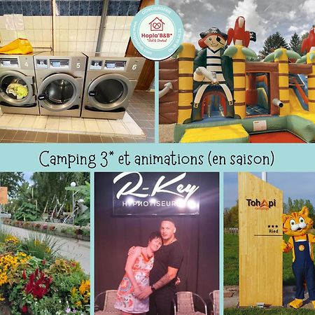 Chez Philippe Et Sylvie - 2 Bungalows Pour 5 Proche Europa-Park Boofzheim Esterno foto